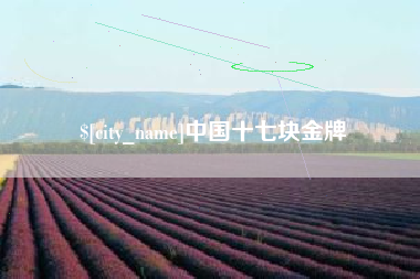 西安中国十七块金牌