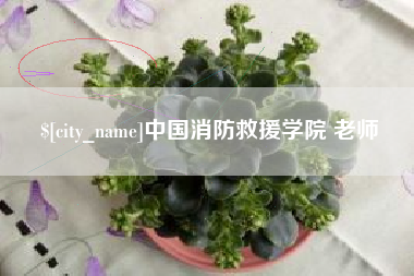 西安中国消防救援学院 老师