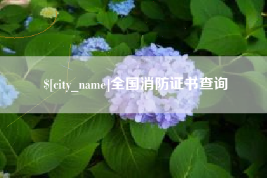 西安全国消防证书查询