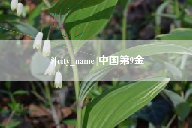 西安中国第9金