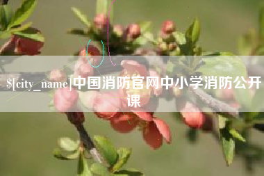 西安中国消防官网中小学消防公开课