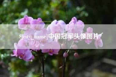 西安中国冠军头像图片