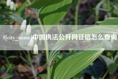 西安中国执法公开网征信怎么查询