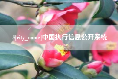 西安中国执行信息公开系统