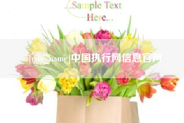西安中国执行网信息官网