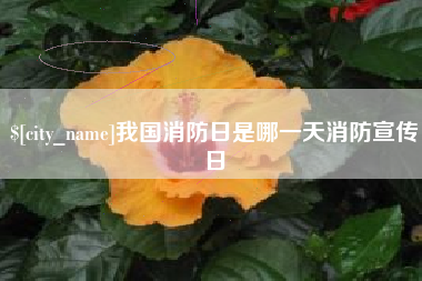 西安我国消防日是哪一天消防宣传日