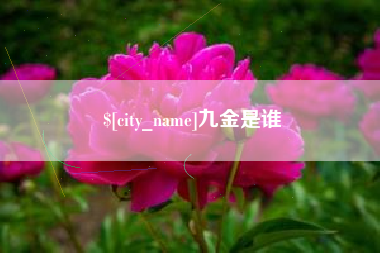 西安九金是谁