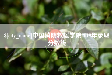 西安中国消防救援学院2019年录取分数线