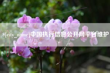 西安中国执行信息公开网平台维护