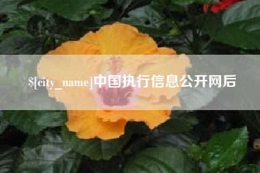 西安中国执行信息公开网后