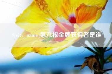 西安第九枚金牌获得者是谁