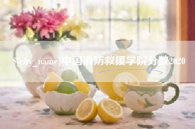 西安中国消防救援学院分数2020