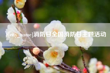 西安消防日全国消防日主题活动