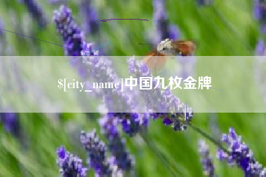 西安中国九枚金牌