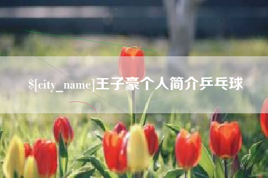 西安王子豪个人简介乒乓球