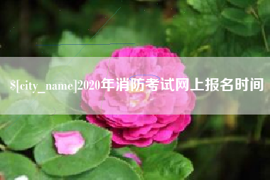 西安2020年消防考试网上报名时间