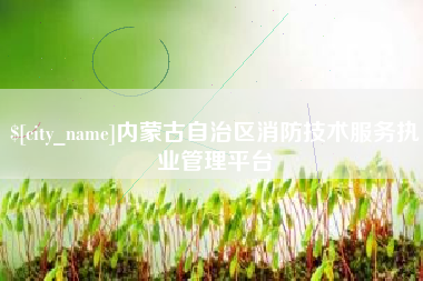 西安内蒙古自治区消防技术服务执业管理平台