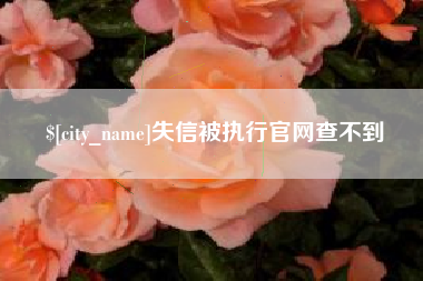 西安失信被执行官网查不到