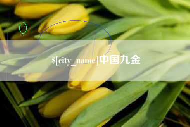 西安中国九金