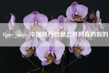 西安中国执行信息公开网真的假的