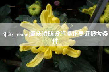 西安重庆消防设施操作员证报考条件