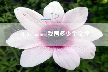 西安我国多少个金牌