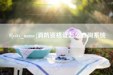 西安消防资格证怎么查询系统