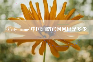 西安中国消防官网网址是多少