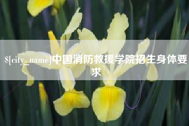 西安中国消防救援学院招生身体要求