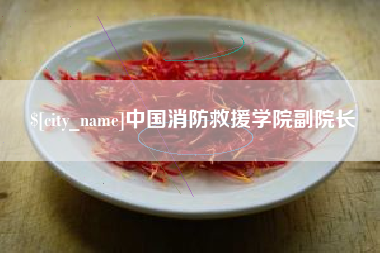 西安中国消防救援学院副院长