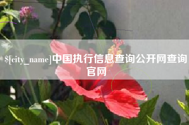 西安中国执行信息查询公开网查询官网