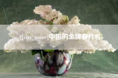 西安中国的金牌有几名