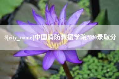 西安中国消防救援学院2020录取分