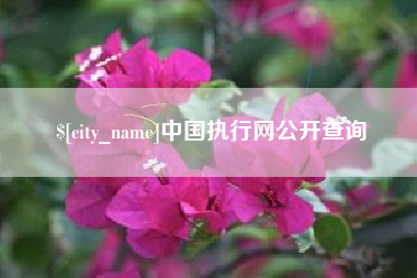 西安中国执行网公开查询