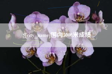 西安国内5000米成绩