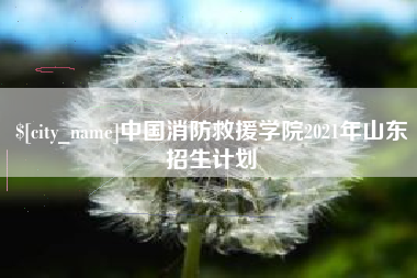 西安中国消防救援学院2021年山东招生计划