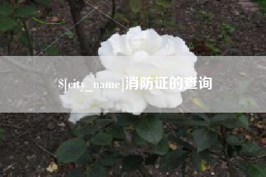 西安消防证的查询