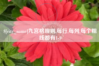 西安九宫格规则,每行,每列,每个粗线都有1-9