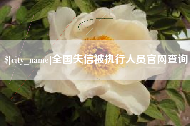 西安全国失信被执行人员官网查询
