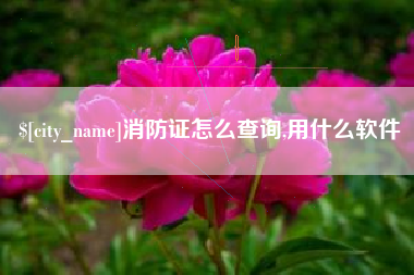 西安消防证怎么查询,用什么软件