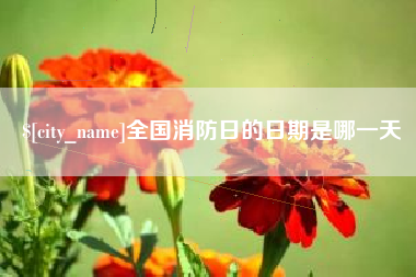西安全国消防日的日期是哪一天