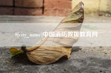 西安中国消防救援教育网