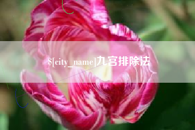 西安九宫排除法
