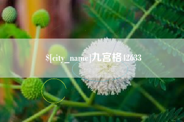 西安九宫格42633