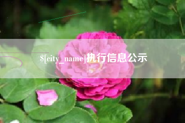 西安执行信息公示