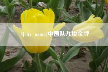西安中国队九块金牌