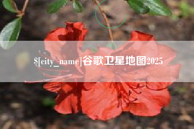 西安谷歌卫星地图2025
