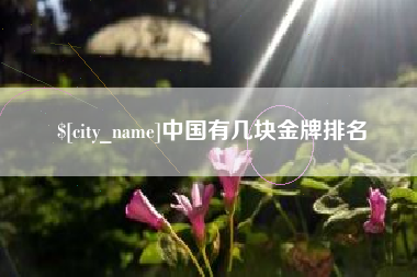 西安中国有几块金牌排名
