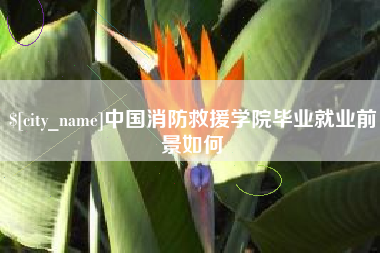 西安中国消防救援学院毕业就业前景如何