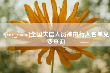 西安全国失信人员被执行人名单免费查询